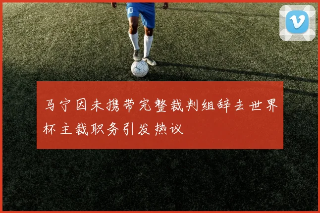 马宁因未携带完整裁判组辞去世界杯主裁职务引发热议