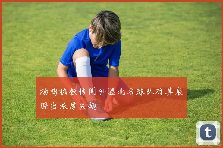 杨鸣执教传闻升温北方球队对其表现出浓厚兴趣
